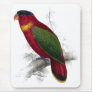 Black-Capped Lory by Edward Lear Mousepads