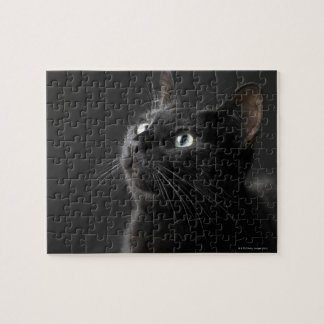 black cat puzzle