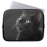 Black cat against black background, close-up computer sleeve