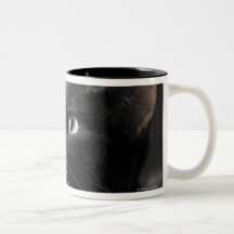 Black cat against black background, close-up coffee mug