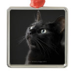 Black cat against black background, close-up christmas tree ornaments