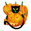 *Black Cat and Pumpkins shirt