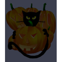 *Black Cat and Pumpkins t-shirts