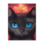 Black Cat Art  & Butterfly - Multi Post Cards