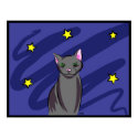 Black Cat at Night posters by Quequay Black Cat at Night posters