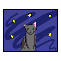 Black Cat at Night posters by Quequay Black Cat at Night posters