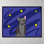 Black Cat at Night Poster