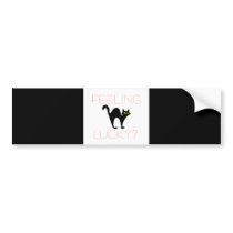 Black Cat Bad Luck Bumper Sticker