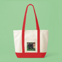 Black cat bag