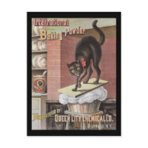 Black Cat Baking Soda Buffalo New York postcards