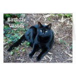 Black Cat Birthday Card 1