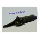 Black Cat Birthday Card by Focus for a Cause