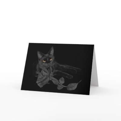 Black cat, Black Rose Greeting Card