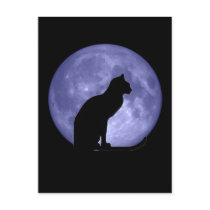 Black Cat Blue Moon Postcard postcards