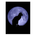 Black Cat Blue Moon Postcard