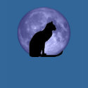 Black Cat, Blue Moon t-shirts