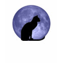 Black Cat, Blue Moon t-shirts by bigspl Black Cat, Blue Moon t-shirts