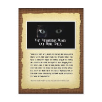 Black Cat Bone Spell Postcard