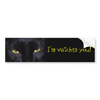 Black Cat Bumper Sticker