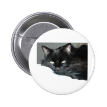 black cat buttons