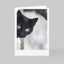 Black Cat cards