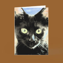 Black cat cards by iiiyaaa Black cat cards