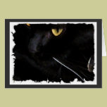 Black Cat Costume cards