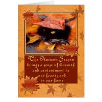 Black Cat Deluxe Thanksgiving Card