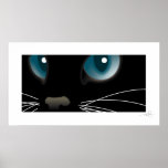 Black Cat Eyes Blue Poster
