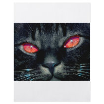 Black Cat Eyes flyers