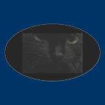 Black Cat Eyes Oval Sticker