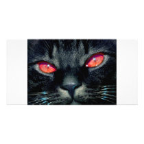 Black Cat Eyes photo cards