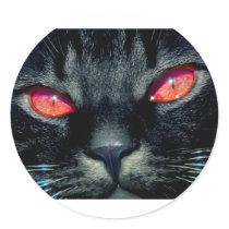 Black Cat Eyes stickers
