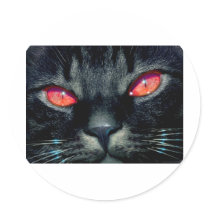 Black Cat Eyes stickers