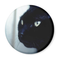Black Cat Face magnets by FallSeason Black Cat Face magnets