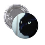 Black Cat Face Pin