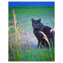 Black Cat flyers by paulnsheryl Black Cat flyers