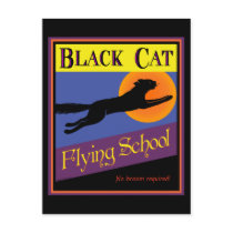 Black Cat Flying School Vintage Halloween Postcard