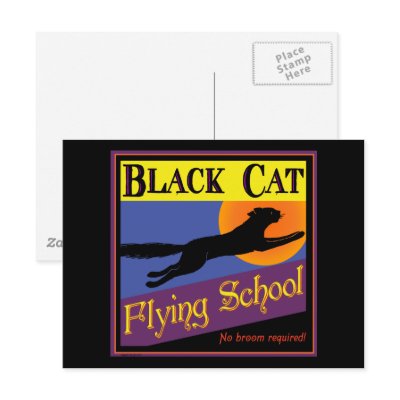 Black Cat Flying School Vintage Halloween Postcard