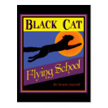Black Cat Flying School Vintage Halloween Postcard