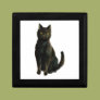 Black Cat Jewelry Box Black Cat Jewelry Box