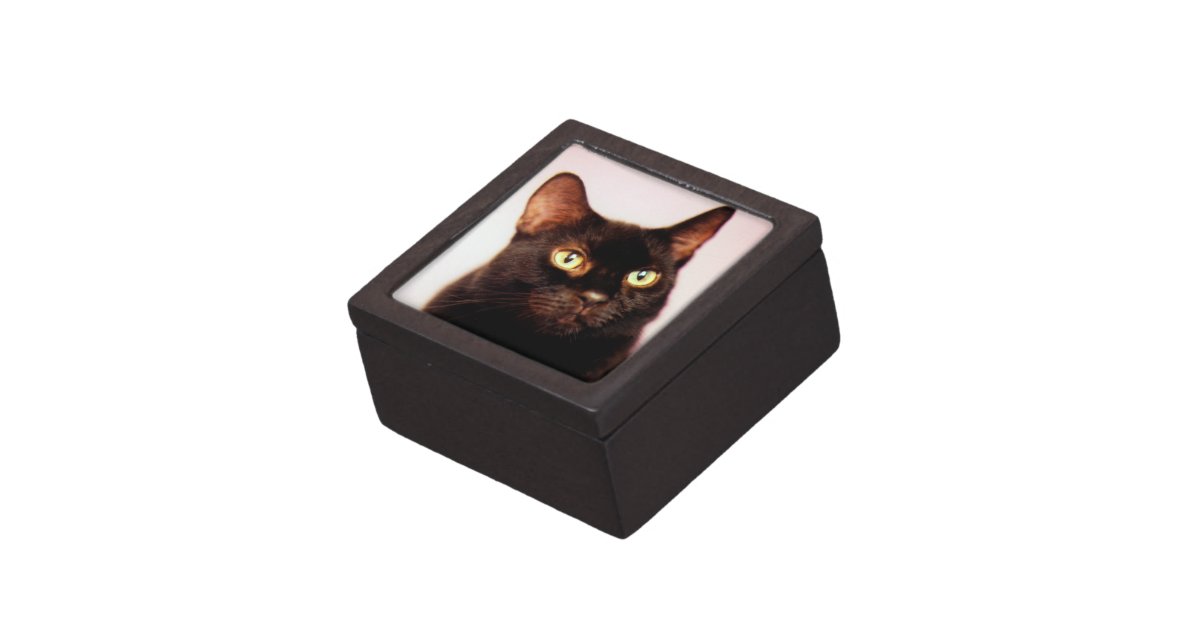 Black Cat Gift Box Zazzle