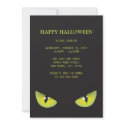 Black Cat | Halloween