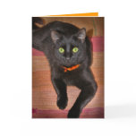 Black Cat Halloween Card