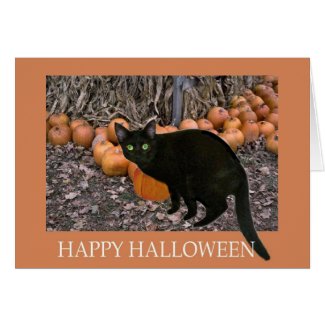 Black Cat Halloween Greeting Card