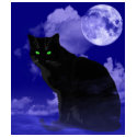 Black Cat, Halloween t-shirt by DesignsbyLisa Black Cat, Halloween t-shirt