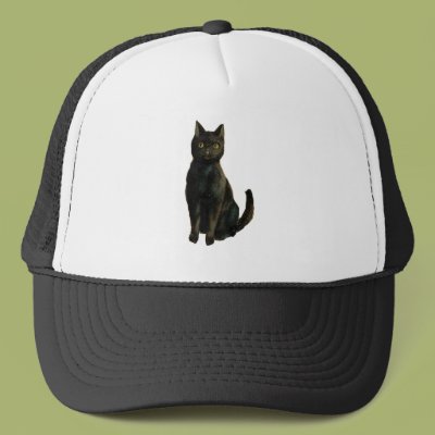 Black Cat Hat Zazzle_hat