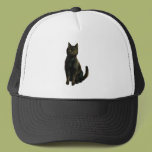 Black Cat Hat