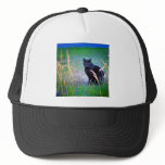 Black Cat hats