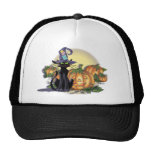 BLACK CAT, HAT,MOON & JACK by SHARON SHARPE